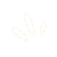 Highlight Sparkle Dashed Lines