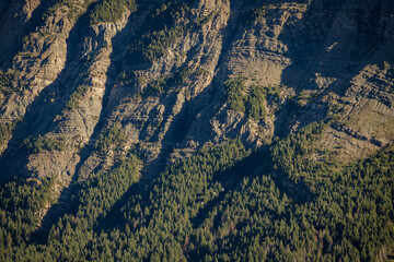 Forested mountain cliff face in the Rocky Mountains