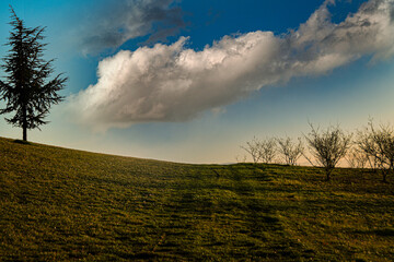 Monferrato, campi, alberi, colline, Valmadonna, Alessandria, Piemonte, Italia