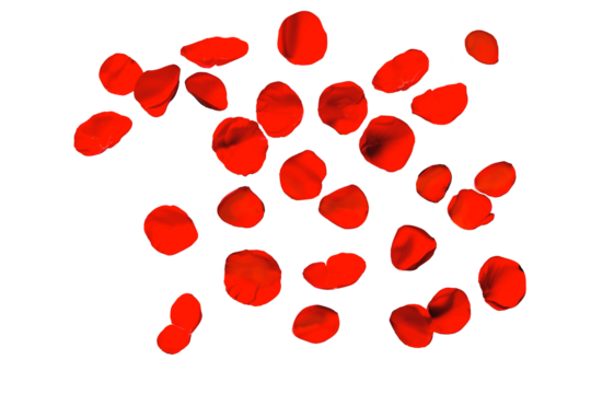 flying leaves of roses on a transparent background