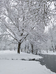 Fototapeta premium Winter Landscape of South Park in city of Sofia, Bulgaria
