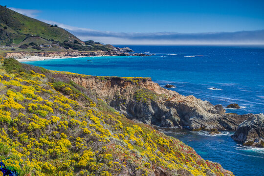 Coastal Beauty