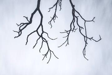 Dark silhouette of bare leafless tree branches hanging down against a bright, moody minimalist background, symbolizing winter, decay, or abstract spooky concepts.
