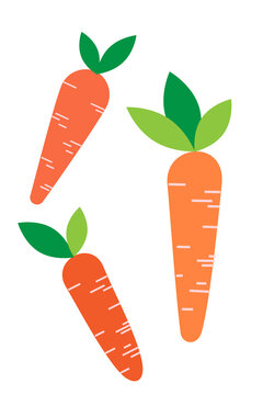 Set of three carrots with green leaves on isolated background. Minimalist flat design vegetable pattern. Modern clean illustration style perfect for food packaging and healthy eating blogs, articles