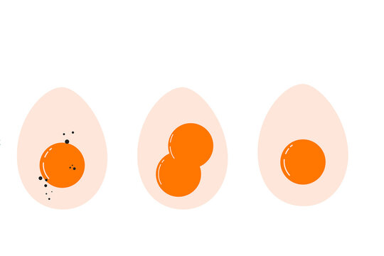 Illustration of three eggs, yolk speckled with black pepper, double yolk. Perfect for cooking, baking, and holiday food guides. Perfect for festive and culinary designs, banners, articles