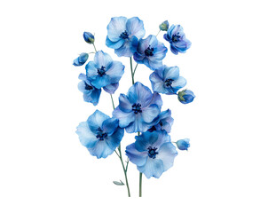 Blue Floral Arrangement on Transparent Background