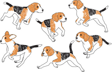走り回るビーグル犬の手描きイラスト