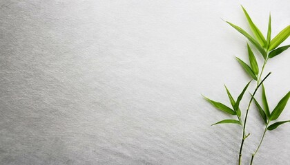 グレーがかった白の和紙テクスチャに、右下の竹の若芽がそっと添えられ、生命の息吹を感じるシンプルなデザイン

