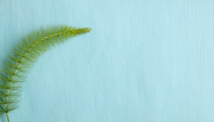 淡い水色の和紙の優しい風合いと、右下にそっと佇むつくしが春の訪れを感じさせるデザイン
