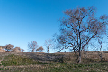 晴れた日琵琶湖畔の広場の風景　滋賀県草津市烏丸半島