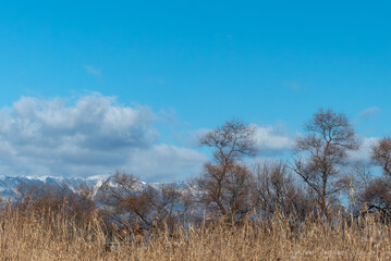 晴れた日琵琶湖畔の広場の風景　滋賀県草津市烏丸半島