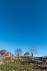 晴れた日琵琶湖畔の広場の風景　滋賀県草津市烏丸半島