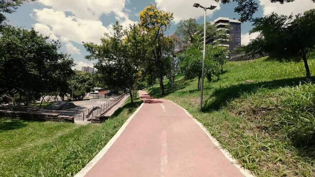 path in the park