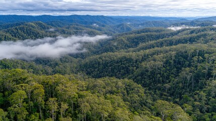 Obraz premium Lush green mountain landscape with misty valleys and distant hills under a cloudy sky
