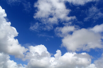 Fototapeta premium Bright blue sky filled with fluffy white clouds background