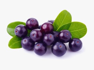 Fototapeta premium Acai Berries with Leaves