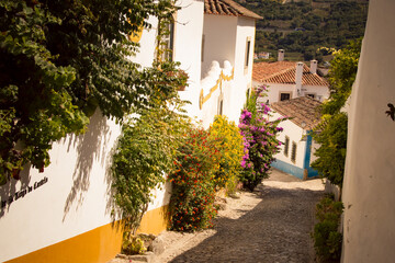 Naklejka premium A flower-lined cobbled street with traditional white houses in Óbidos, Portugal.