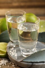 Tequila shots with salt, limes and agave leaves on wooden table, closeup