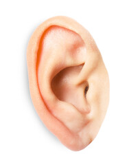 Fototapeta premium Woman on white background, closeup of ear