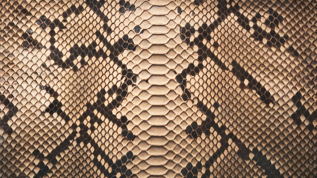 Black python pattern on beige pattern, vegan python, vegan crocodile leather background