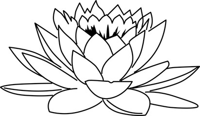 Lotus Flower Line Art