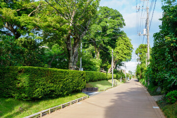 佐倉市の武家屋敷通りには土塁と生垣が残る