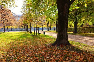 autumn in the park
