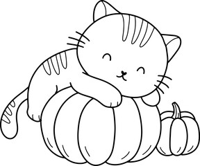 Cute cat with pumpkin cartoon animal outline, line art clipart png illustration	