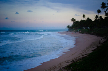 A serene beach scene at dusk with gentle waves and palm trees. Salvador, BA