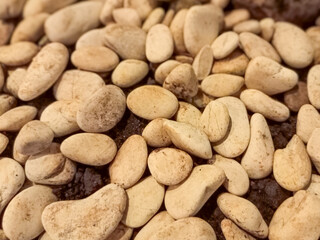 Close Up View Of Light Beige Stones On Dark Brown Background