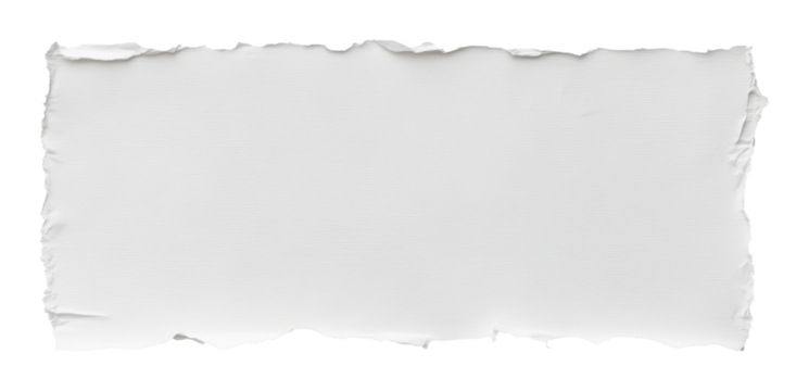 Torn white paper with textured edges, minimalist background concept