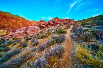 Red Rock Canyon Desert Trail at Golden Hour Eye-Level Perspective