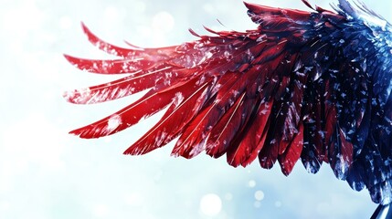 Avian Wing Display in Crimson and Azure Hues on White