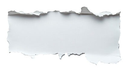 Obraz premium Torn paper edge on transparent background, creative design concept