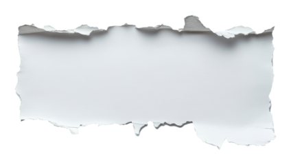 Torn paper edge on transparent background, creative design concept