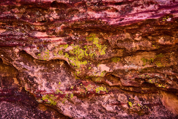 Rugged Rock Face with Vibrant Lichen Close-Up in Red Rock Canyon