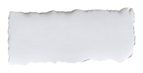 torn white paper with textured surface, isolated on transparent background. minimalistic concept for scrapbooking and art projects