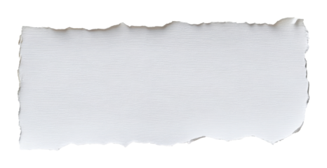 torn white paper with textured surface, isolated on transparent background. minimalistic concept for scrapbooking and art projects