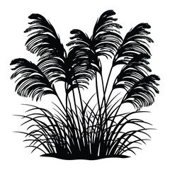 A graceful pampas grass silhouette sways gently, its feathery plumes standing tall against the sky, creating a serene and elegant natural scene.