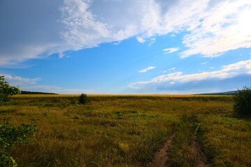 A country road with sprouted grass, stretching towards the horizon with a blue sky. High quality photo