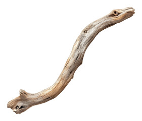 Fototapeta premium Piece of driftwood on transparent background, nature and texture concept