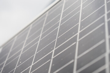 Solar panels collecting sunlight at a renewable energy facility