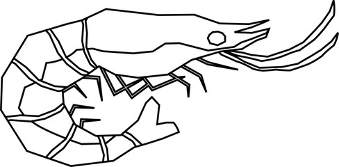 Sea Animals Line Illustration