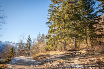 A quiet alpine path in Triglav National Park near Lake Bohinj, Slovenia. The forested route offers scenic mountain views and a light dusting of snow, reflecting the region&rsquo;s winter charm in julian alp