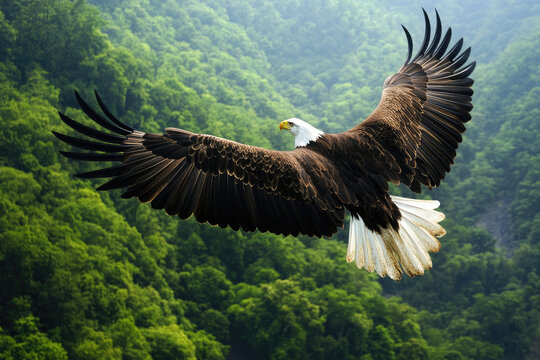 a majestic eagle soaring high above a dense green rainforest, wings fully extended