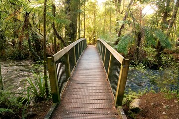 Small Wooden Bridge Over the Waikoropupū River in the Woods – Serene Nature Scene