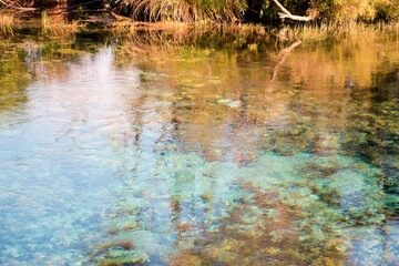 Crystal Clear Water in Te Waikoropupū Springs – Pristine Natural Beauty