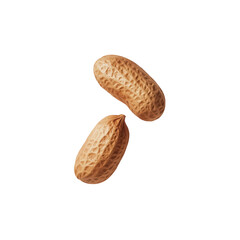 Obraz premium Peanuts in Shell: Two plump peanuts in their shells, ready to be cracked open and enjoyed. The intricate patterns and earthy hues of the shells add a rustic charm to this image.