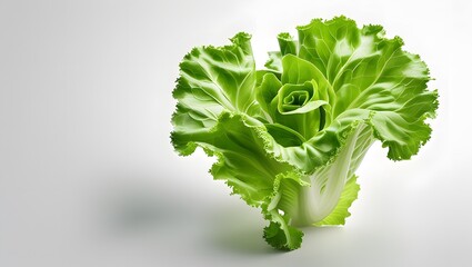 Fresh lettuce isolated on white background.