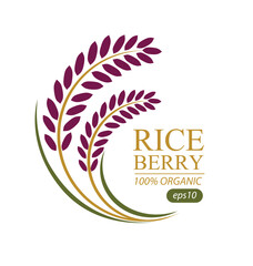 Rice berry.  Rice. Logo design template vector illustration.